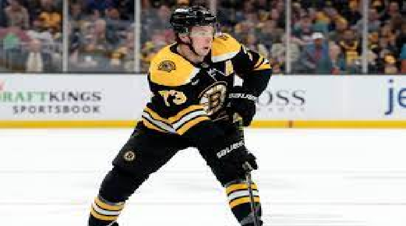 Grading the Top Offseason Moves for the Boston Bruins
